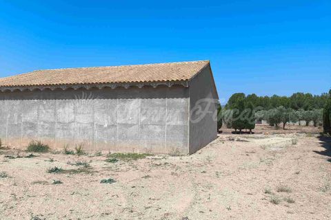 Landejendom i Caudete, Albacete, Caudete - € 95.000 | Ref: SF0539 - foto 7